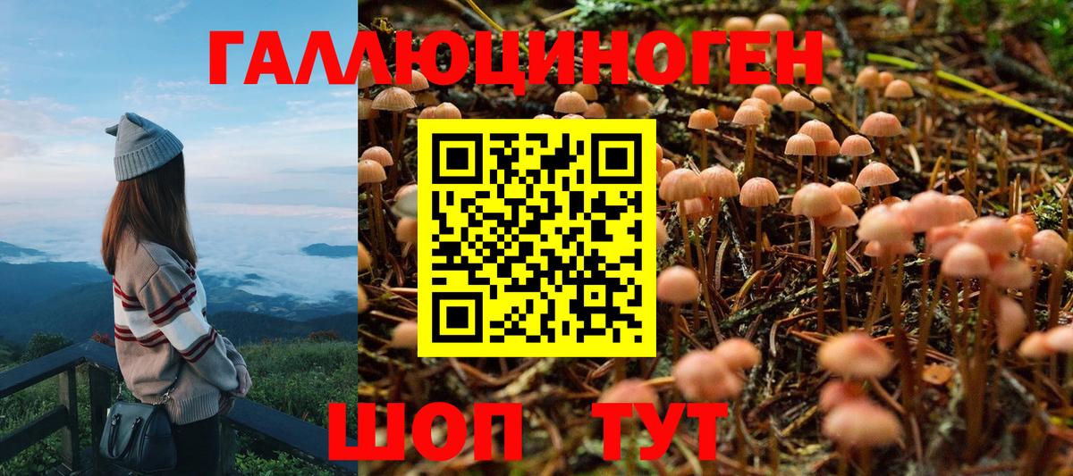 Элиста  Галлюциногенные грибы MAGIC MUSHROOMS  Вход с VPN 